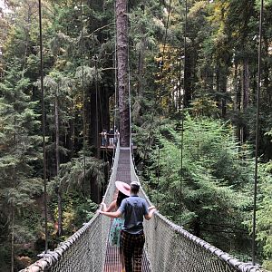 Redwood Sky Walk
