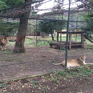 Zoo Târgu-Mures 27.08.2021.