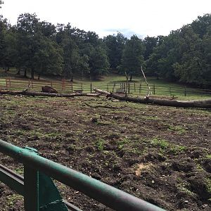 Zoo Târgu-Mures 27.08.2021.