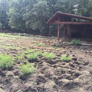 Zoo Târgu-Mures 27.08.2021.