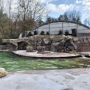Patagonian sea lion enclosure