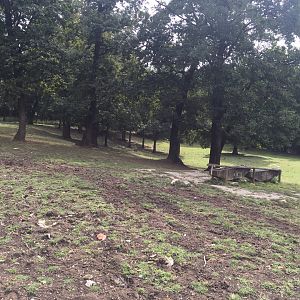 Zoo Târgu-Mures 27.08.2021.