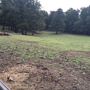 Zoo Târgu-Mures 27.08.2021.