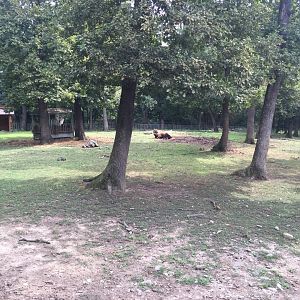 Zoo Târgu-Mures 27.08.2021.