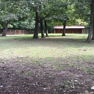 Zoo Târgu-Mures 27.08.2021.