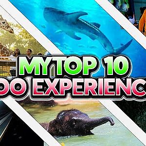 My Top 10 Greatest Zoo Experiences