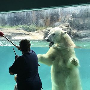 Keeper Training with Anana