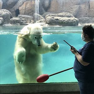 Keeper Training with Anana