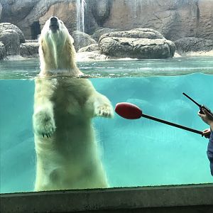 Keeper Training with Anana