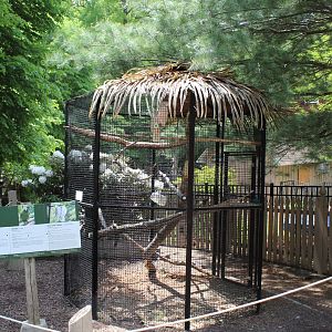 Parrot Cage