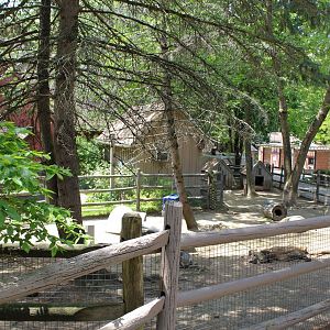 Rabbit, Mara, & Tortoise Enclosure