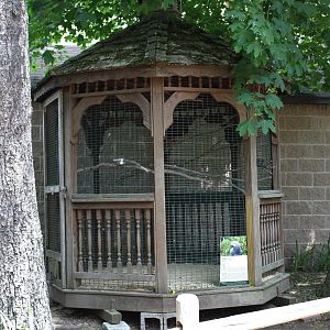 Parrot Gazebo