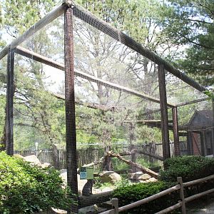 Bobcat Enclosure