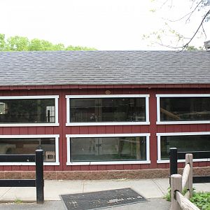 Winter Reptile Holding