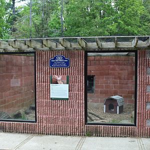 Fennec Fox Enclosure