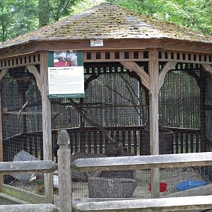 Groundhog Gazebo