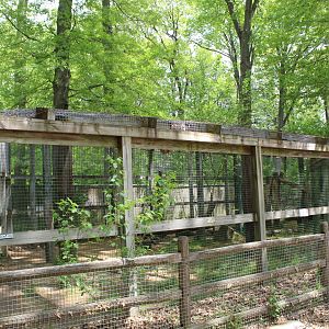 Leopard Enclosure Part 1