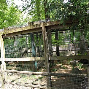 Leopard Enclosure Part 2