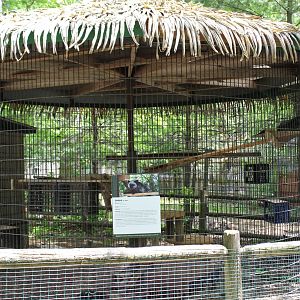 Silver Fox Enclosure