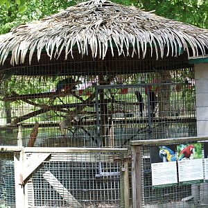 Macaw Aviary