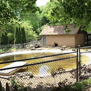 Beaver & Duck Enclosure