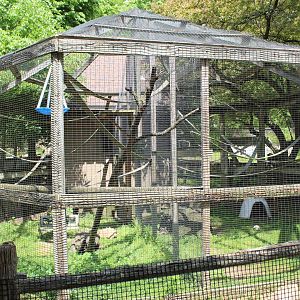 Lemur & Tortoise Enclosures