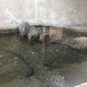 Zoo Târgu-Mures 27.08.2021.