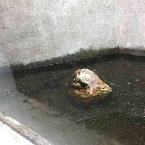 Zoo Târgu-Mures 27.08.2021.