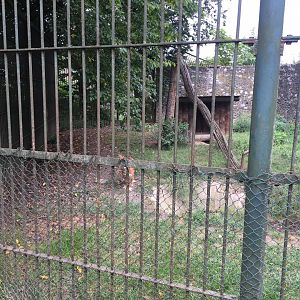 Zoo Târgu-Mures 27.08.2021.