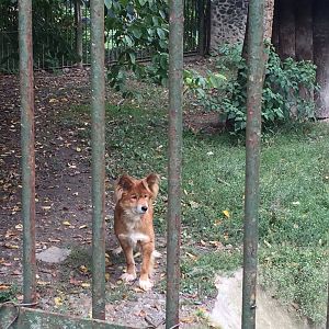 Zoo Târgu-Mures 27.08.2021.
