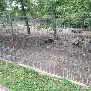 Zoo Târgu-Mures 27.08.2021.