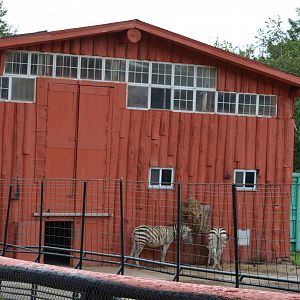 Old Giraffe Barn (Now Grevy's Zebras)