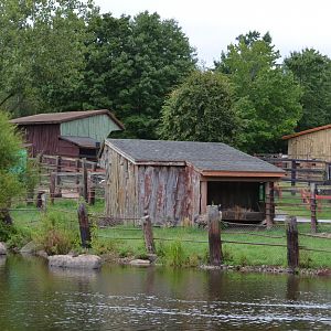 More of the Emu Habitat