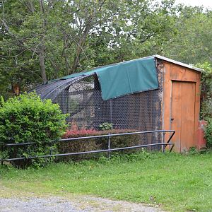 Carnivore Holding (Silver Fox?)