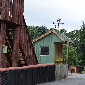 Elevated area next to American Bison