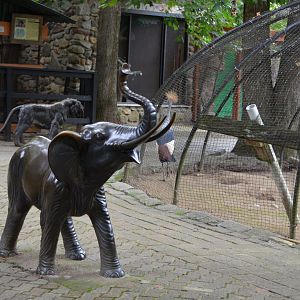 Area around the aviaries.