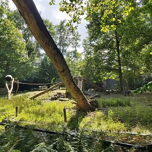 Chaco pecarry enclosure