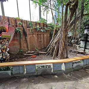 The new red-footed tortoise exhibit in Regenwaldhalle / Jungle Trail