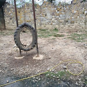 Zoo Târgu-Mures 27.08.2021.