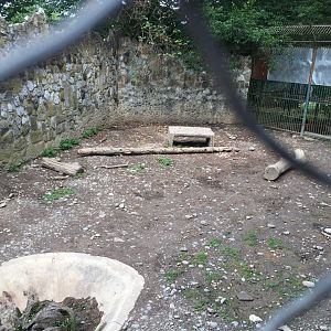 Zoo Târgu-Mures 27.08.2021.