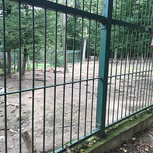 Zoo Târgu-Mures 27.08.2021.