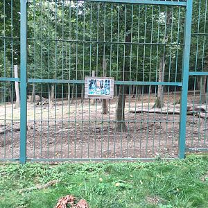 Zoo Târgu-Mures 27.08.2021.