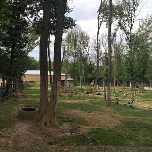 Zoo Târgu-Mures 27.08.2021.