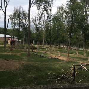 Zoo Târgu-Mures 27.08.2021.