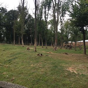 Zoo Târgu-Mures 27.08.2021.