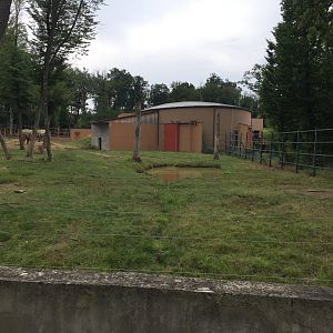 Zoo Târgu-Mures 27.08.2021.