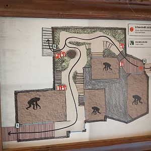 Map of the indoor bonobo enclosure