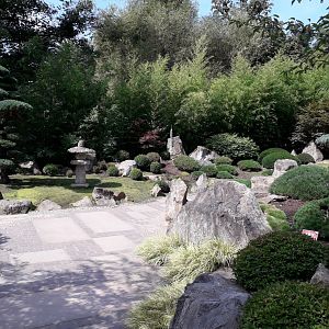 Japanese garden