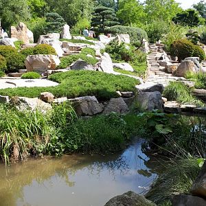Japanese garden
