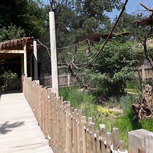 renovated canopy on the south american exhibit